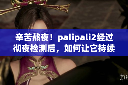 辛苦熬夜！palipali2經(jīng)過徹夜檢測后，如何讓它持續(xù)高效？