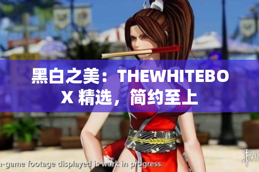 黑白之美：THEWHITEBOX 精選，簡約至上