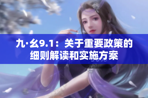 九·幺9.1：關(guān)于重要政策的細則解讀和實施方案