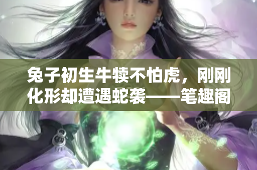 兔子初生牛犢不怕虎，剛剛化形卻遭遇蛇襲——筆趣閣揭秘故事