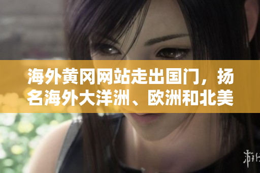 海外黃岡網(wǎng)站走出國(guó)門，揚(yáng)名海外大洋洲、歐洲和北美市場(chǎng)