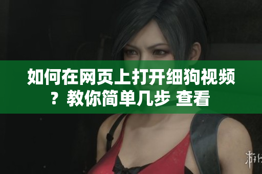 如何在網(wǎng)頁(yè)上打開細(xì)狗視頻？教你簡(jiǎn)單幾步 查看 