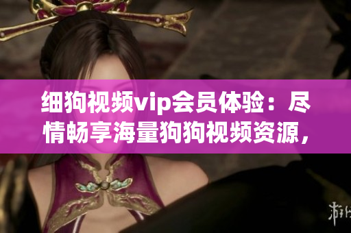 細狗視頻vip會員體驗：盡情暢享海量狗狗視頻資源，帶你探索狗狗世界
